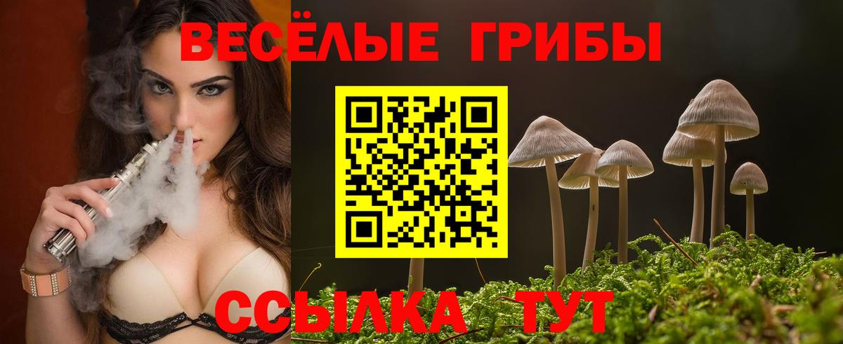 Псилоцибиновые грибы прущие грибы  Вход с VPN  Орск 